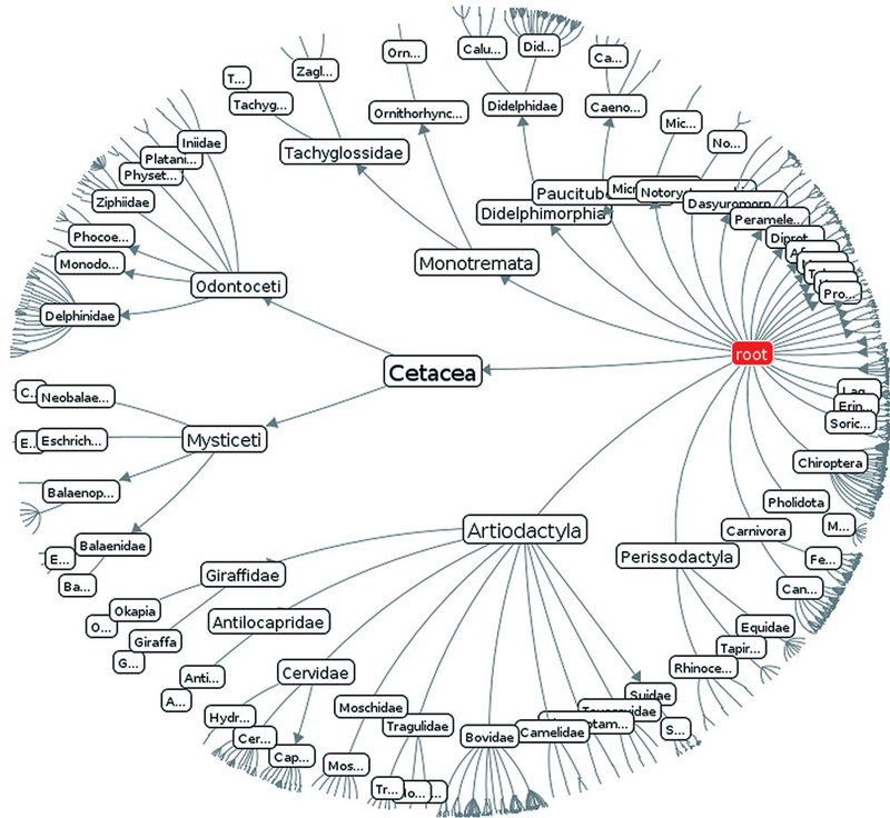 Illustration for article titled 14 Complex Data Visualizations That Take The Form Of A Tree